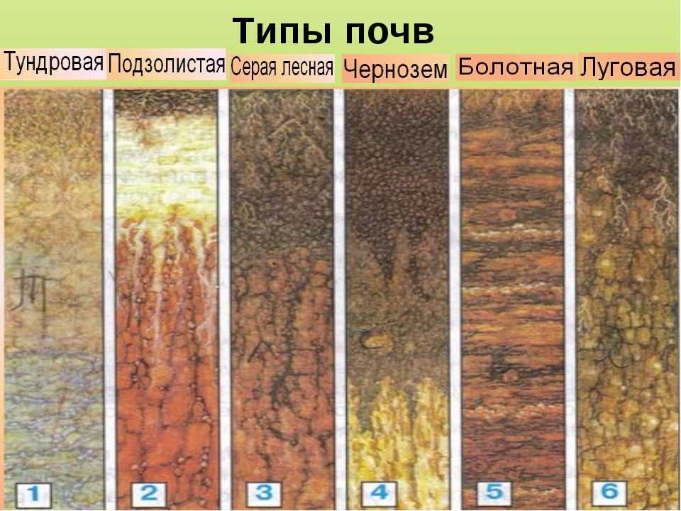 Карта черноземов липецкой области