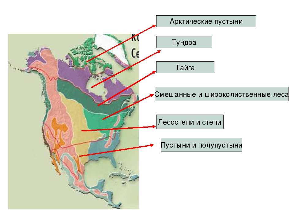 Карта природных зон северной америки 7 класс
