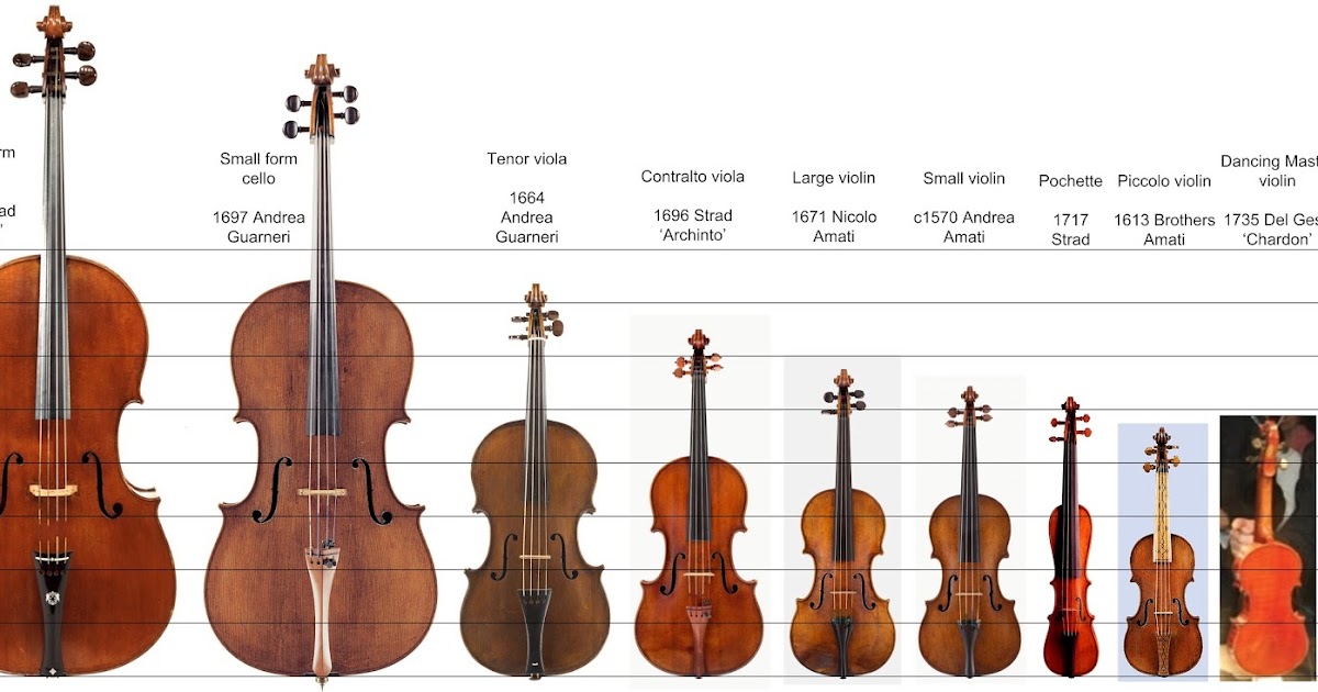 large violin type instrument