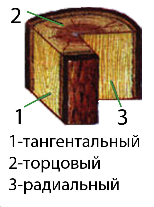 Виды шпона радиальный и тангенциальный