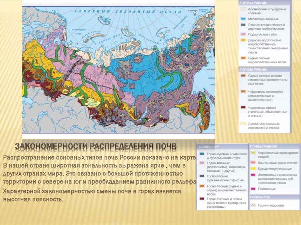 Почвы по регионам. Почвы России 8 класс география карта. Зональные типы почв на территории РФ. Подзолистые почвы на карте России. География почв России карта.