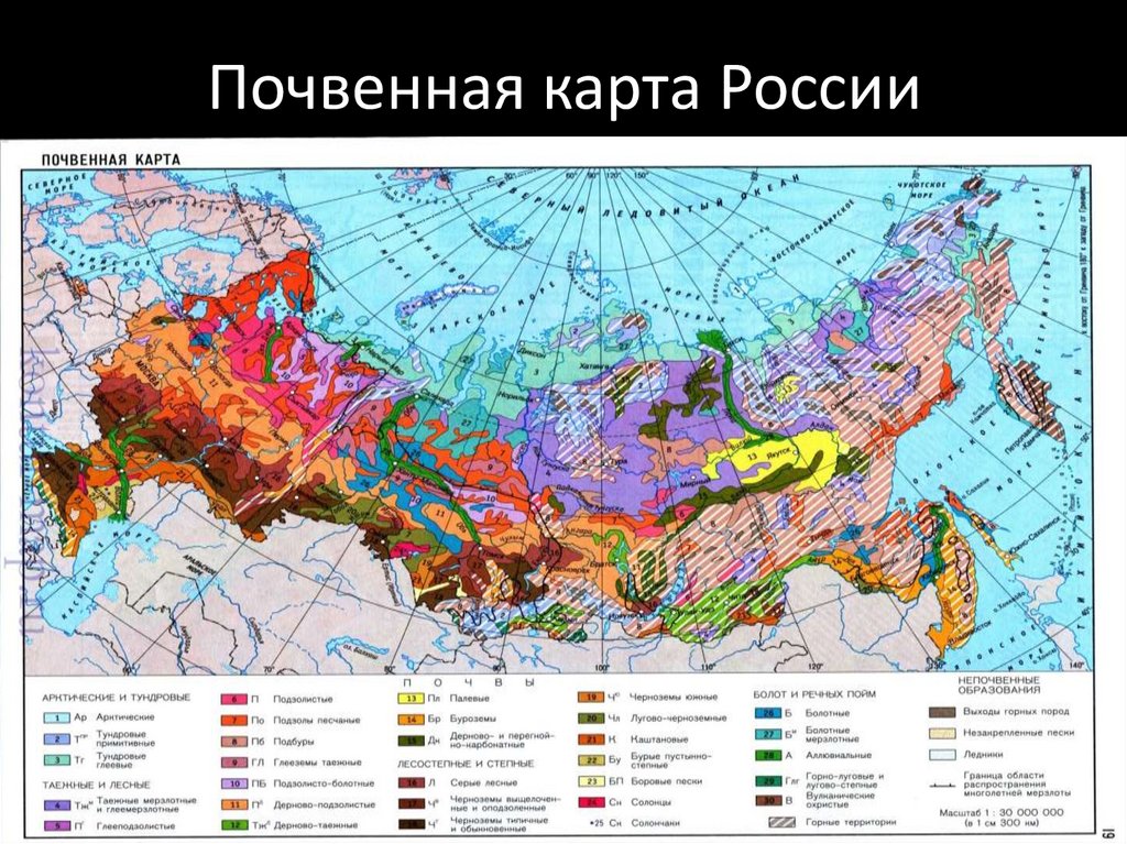 В какой зоне наиболее плодородные почвы. Почвенный Покров России карта. Почвенная карта европейской части России. Карта почв Докучаева. Типы почв на карте Евразии.