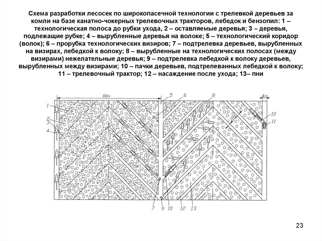 Схема разработки пасеки