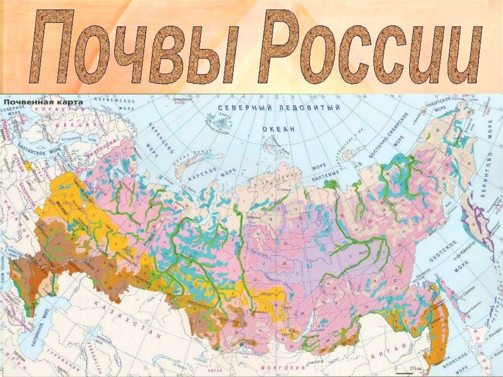 Карта плодородия почв россии