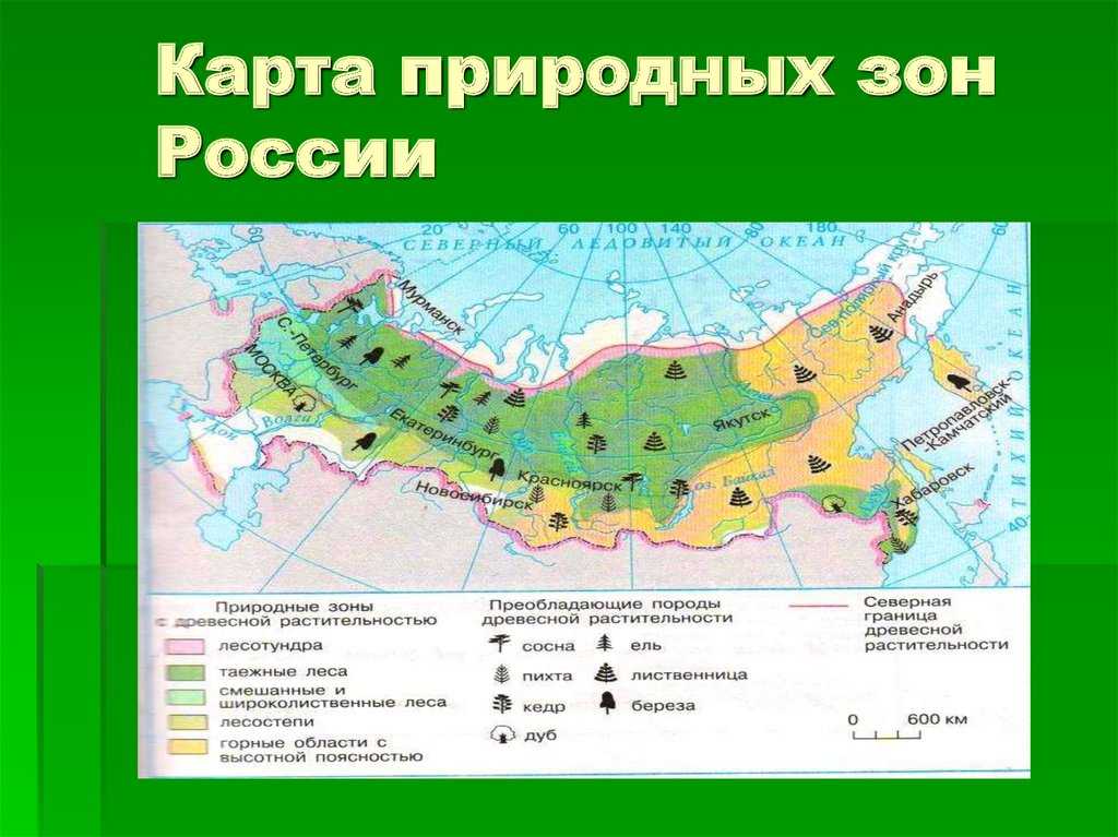 Природно климатические зоны россии: Природные зоны — урок. Окружающий