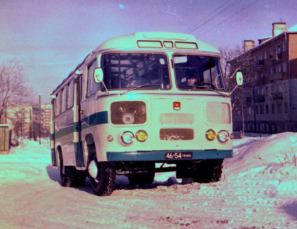 Фото паз 672 пингвин