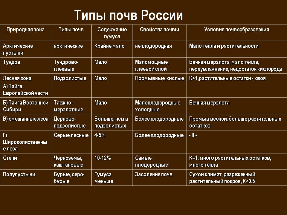 Характеристика лесотундры по плану 8 класс география