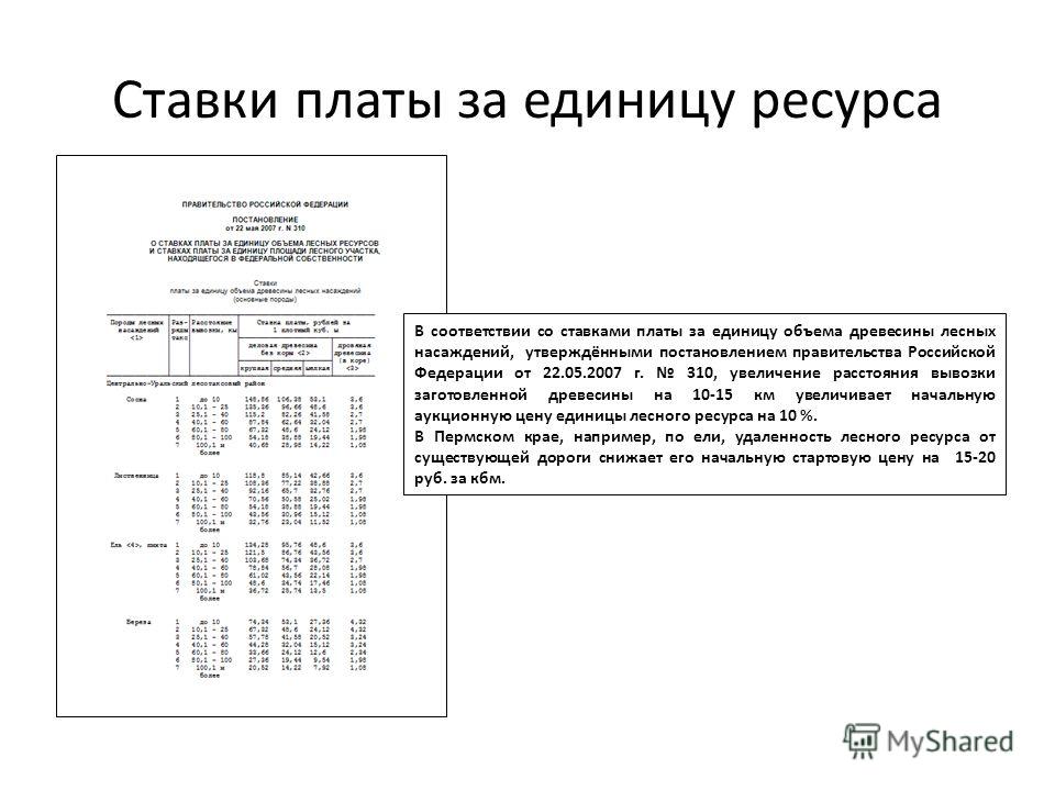 Проект лесных культур образец