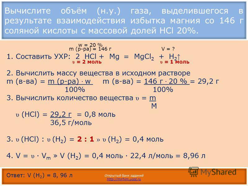 Составьте и запишите план текста из 3 пунктов белка симпатичная лесная жительница