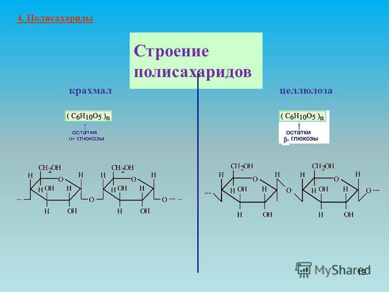 Строение целлюлозы. Полисахариды крахмал строение молекулы. Структурное звено полисахаридов. Полисахариды формула Целлюлоза. Структура молекул полисахаридов.