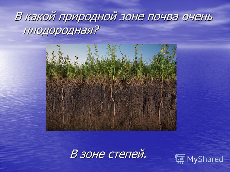 Самая плодородная природная зона. Почвы в зоне степей очень плодородные. В какой природной зоне плодородная почва. В какой зоне самые плодородные почвы. Какие природные.