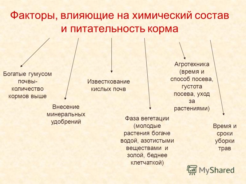 Схема зоотехнического анализа кормов