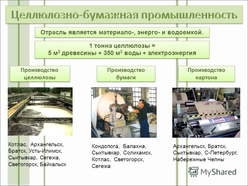 Проблемы лесной промышленности и пути их решения