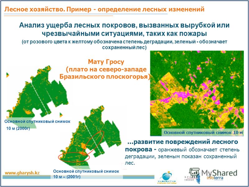 Лесной план республики адыгея