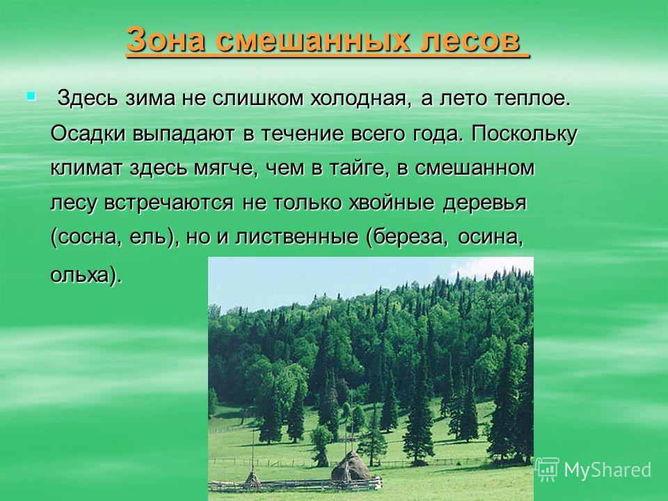 Схема значение леса в жизни северян 3 класс морянка