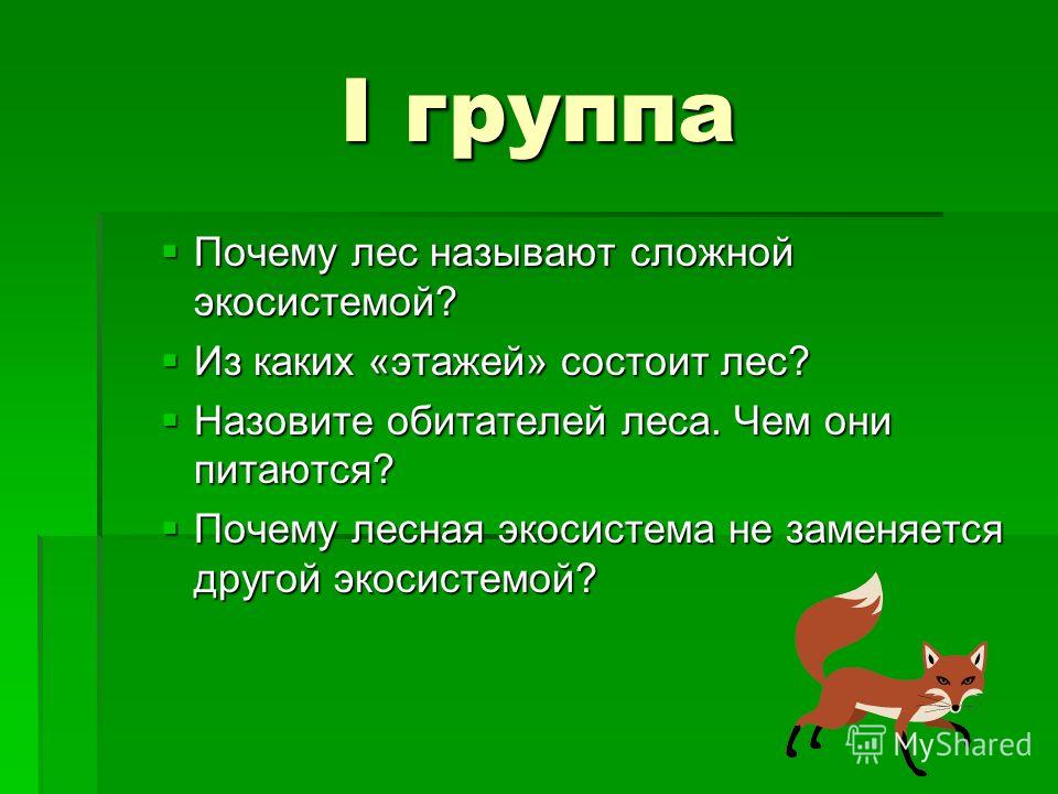 Проблемы устойчивости лесных экосистем в россии презентация