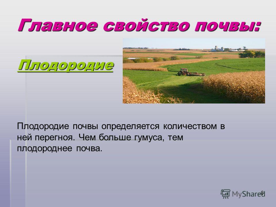 Какая природная зона самая плодородная. Главное свойство почвы. Основное свойство почвы. Плодородие главное свойство почвы. Важнейшее свойство почвы.