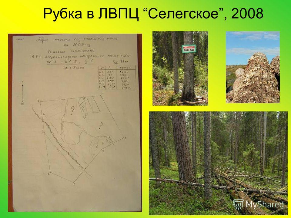 ЛВПЦ Карелии.