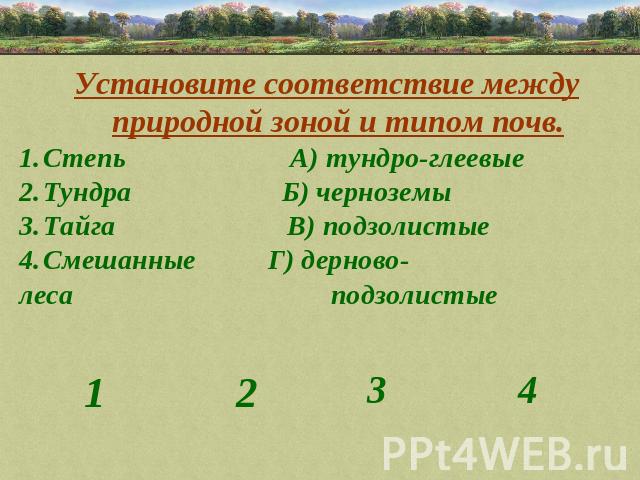 Установите соответствия между природными зонами и их изображениями