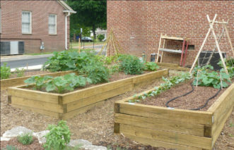 Treated lumber is commonplace in many raised beds used for vegetable gardening.