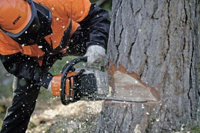 Пилить дерево при помощи бензопилы намного быстрее и удобнее