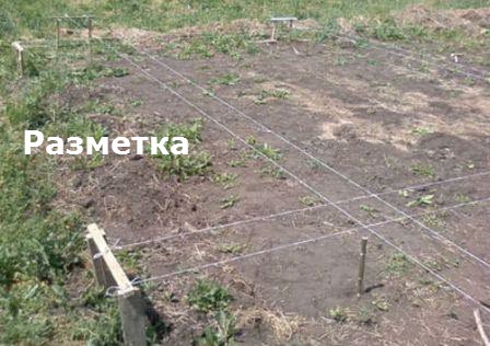 lentochnyiy fundament sruba 2