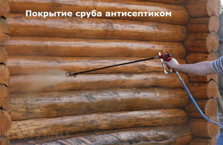 Защита сруба антисептиком лессирующим