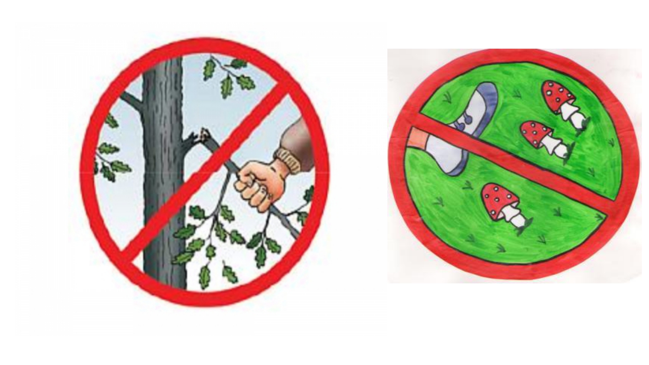 Экологические знаки для детей дошкольного возраста. Знаки природы. Знаки охраны природы. Знаки поведения в природе. Берегите растения знаки.