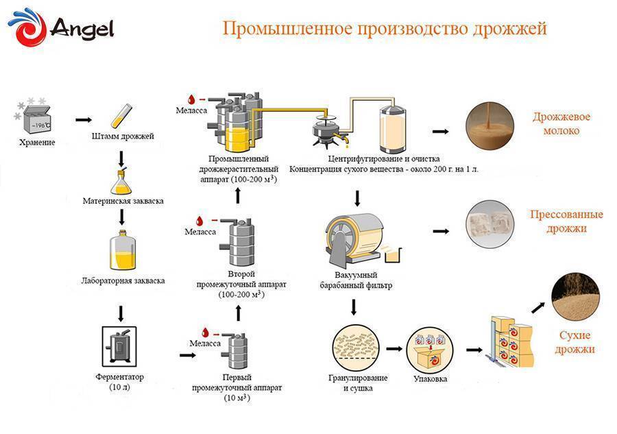 Схема производства дрожжей