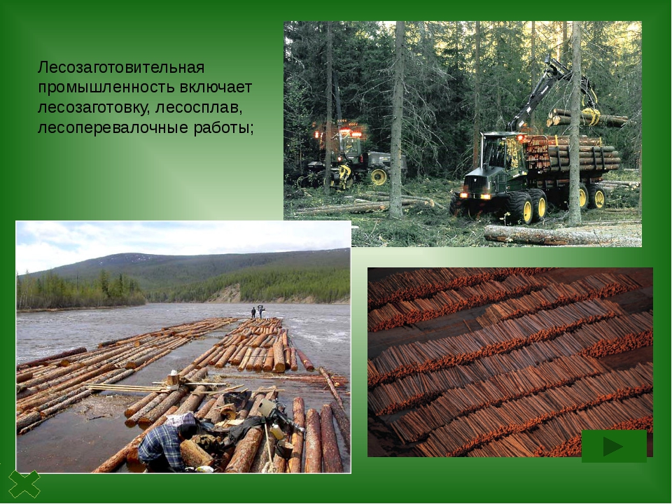 Экономика в лесной отрасли. Лесная промышленность ХМАО Югры. Лесозаготовительная и деревообрабатывающая промышленность. Сырьё в деревообрабатывающей промышленности. Лесная и деревообрабатывающая промышленность.