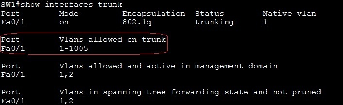 show interfaces trunk