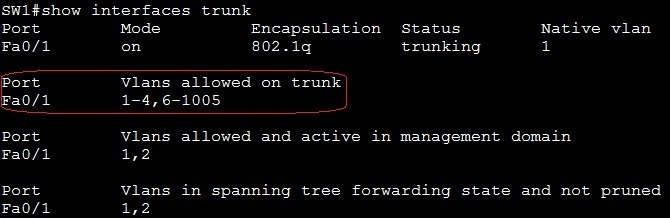 show interfaces trunk command