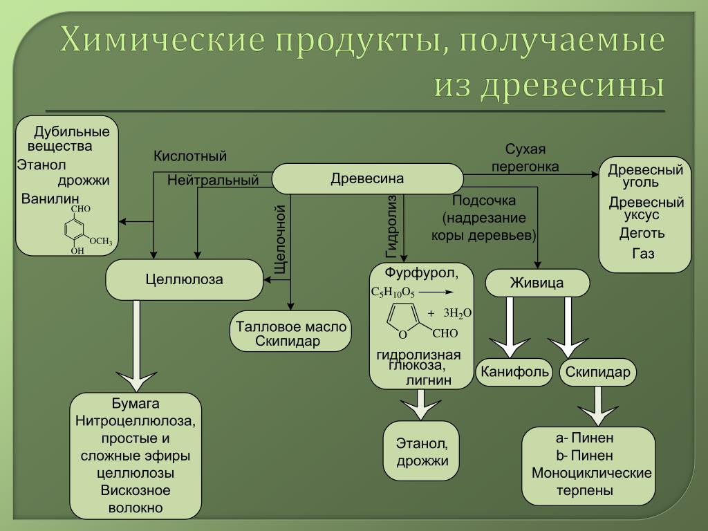 Какие вещества получает. Продукты химической переработки древесины. Химическая переработка древесины. Продукты получаемые из древесины. Древесина продукт переработки в химии.