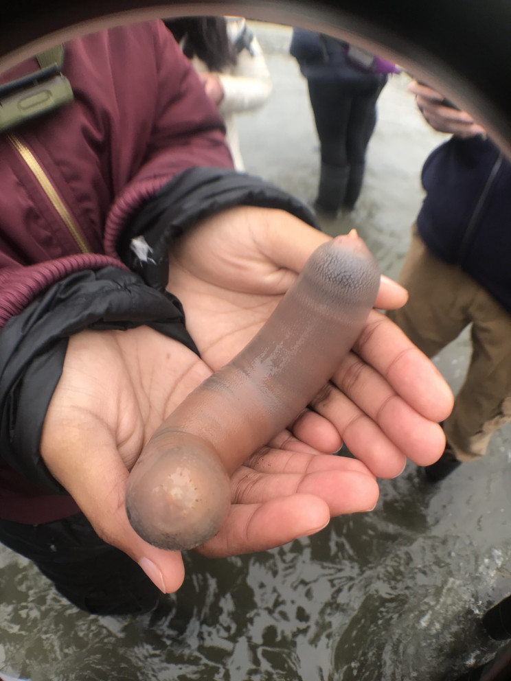 7 Animals That Look Exactly Like Dong 7 Animals That Look Exactly Like Dong
