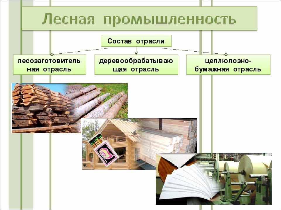 Деревообработка проект 7 класс