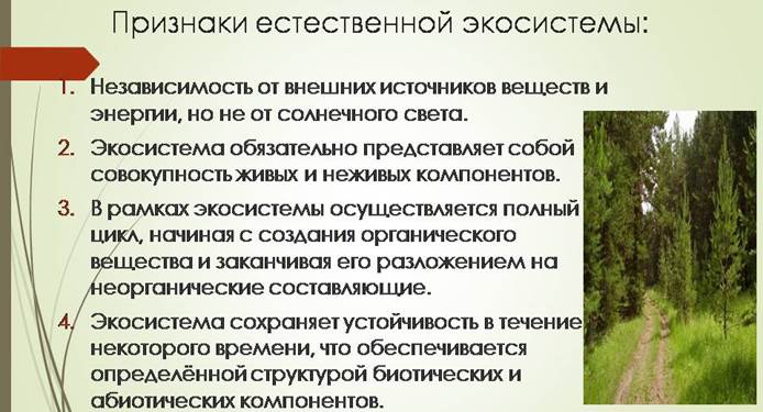 Устойчивость природной экосистемы. Признаки экологической системы. Нарушение устойчивости экосистем. Признаки экосистемы. Искусственные экосистемы.