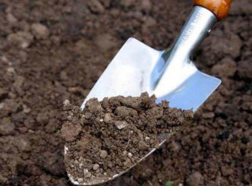 Перекапывание почвы