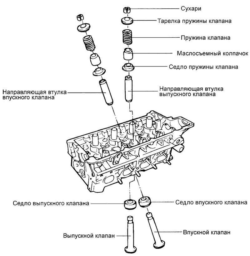 Какие сосуды имеют клапаны