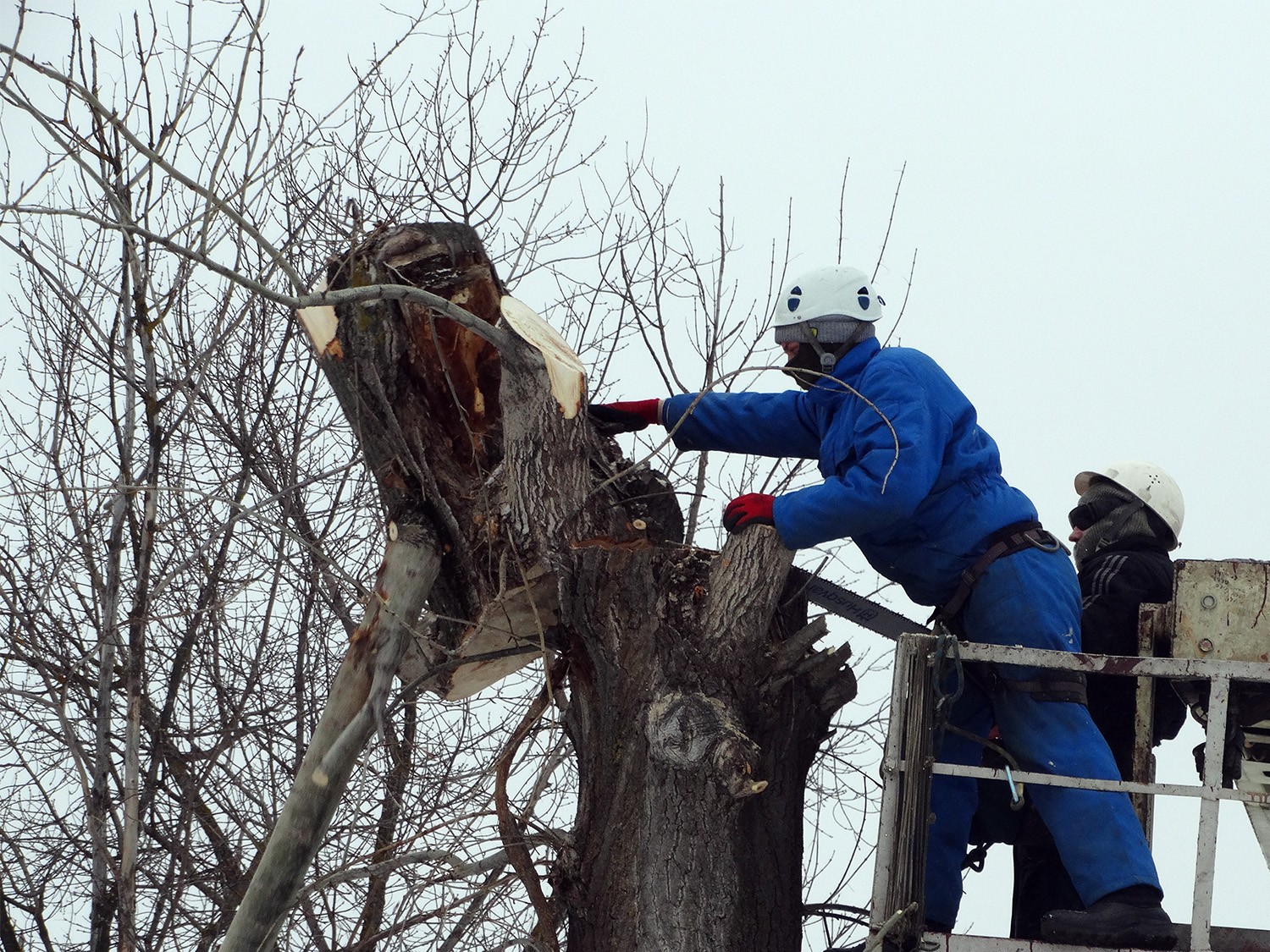 Валка дерева домкратом