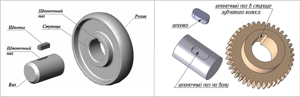 Подшипников шпонка. ПАЗ сегментная шпонка на валу. Шпонка и шпоночный ПАЗ. Зубчатое колесо со шпоночным пазом. Зубчатый муфта с шпоночным пазом.