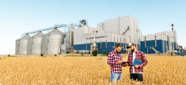 A grain elevator worker, or operator, purchases grain from farmers either for cash or at a contracted price, determining the grade, quality and weight of grain delivered.