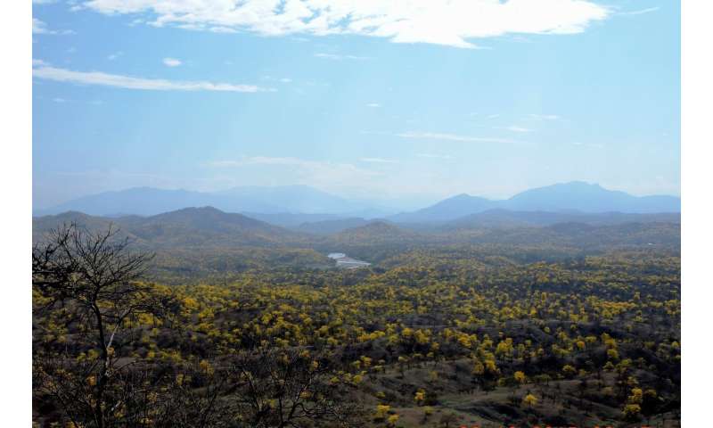 Most of Ecuador Ecuador: Deforestation destroys more dry forest than climate change