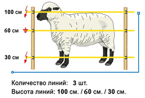 Электропастух для овец