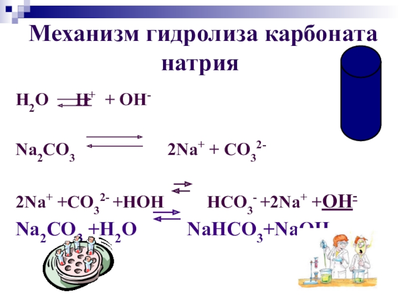 Сульфат натрия гидролиз