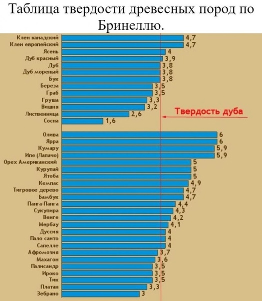 Калина твердость древесины