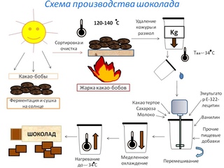 Технологическая карта три шоколада