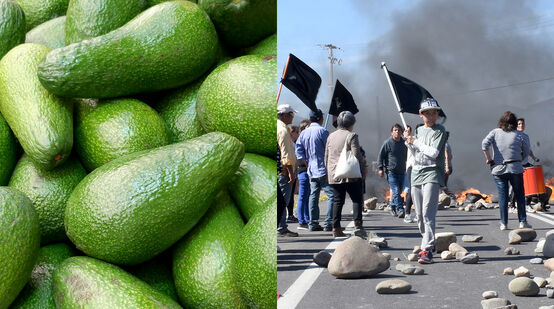 Montage: avocados (l.), protests in Chile