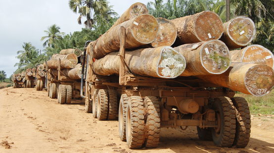 Truck loaded with logs in Liberia
