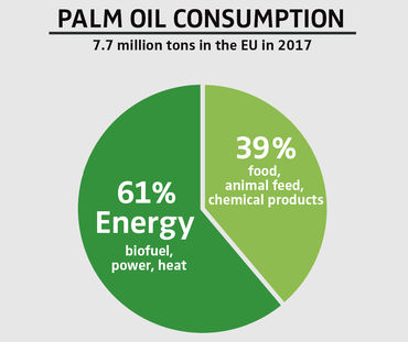 PALM OIL CONSUMPTION 2017