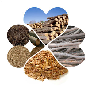 biomass material for making wood pellets